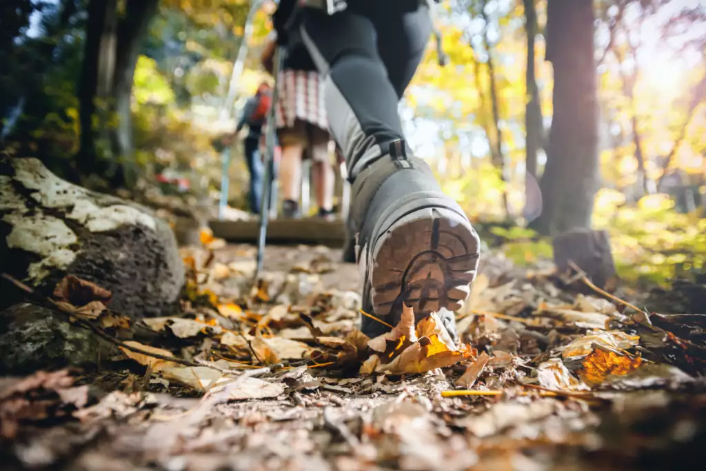 Ranking butów trekkingowych. Jakie buty są najlepsze?
