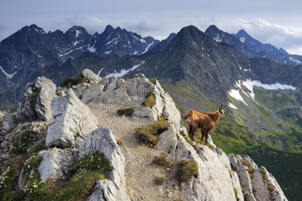 Łatwe szlaki w Tatrach. Gdzie warto się wybrać na początek?