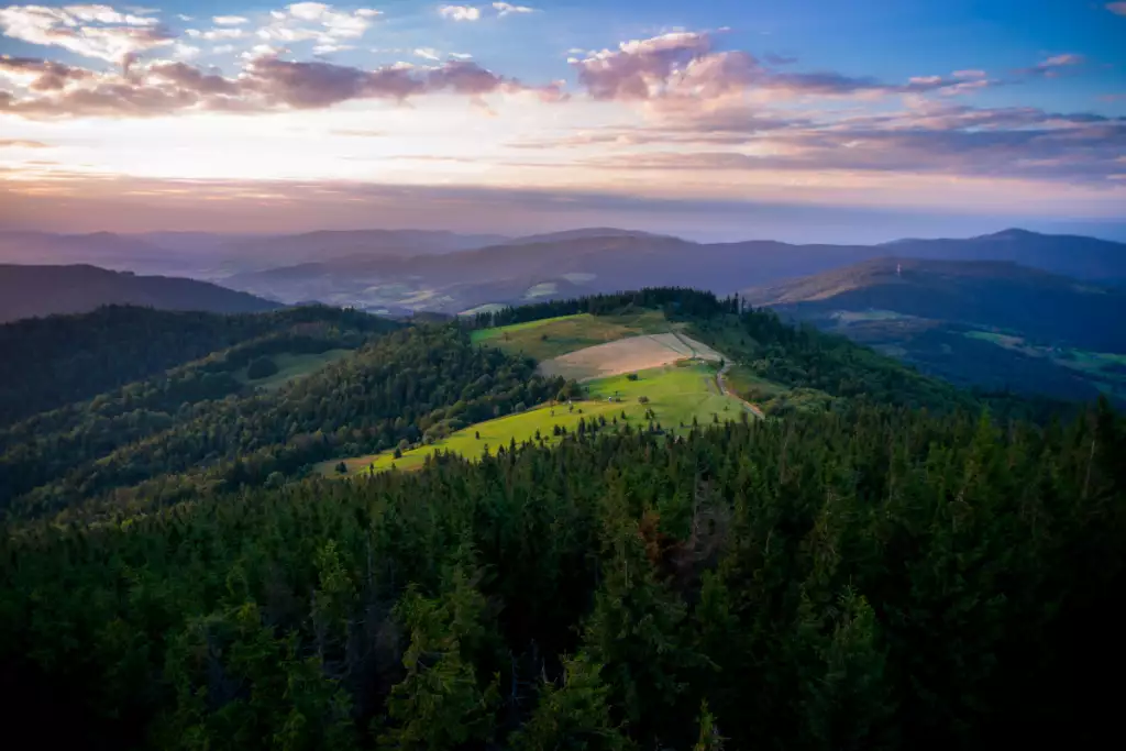 Najpiękniejsze szlaki w Beskidach. W jakie trasy warto się wybrać?
