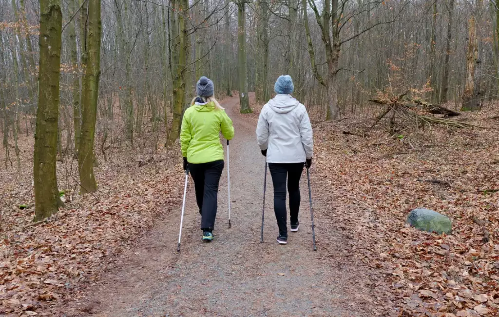 kije trekkingowe czy nordic walking