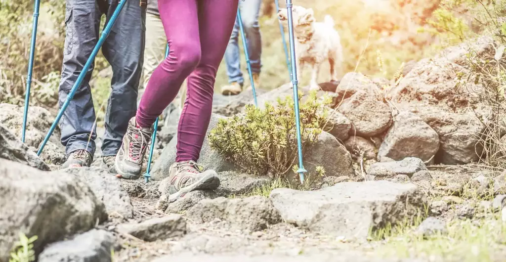 jakie buty trekkingowe wybrać
