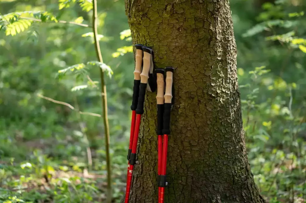 kije trekkingowe - jak chodzić