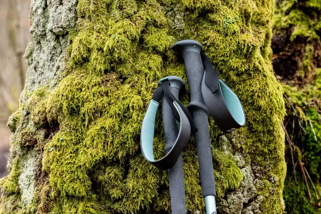 jak chodzić z kijkami