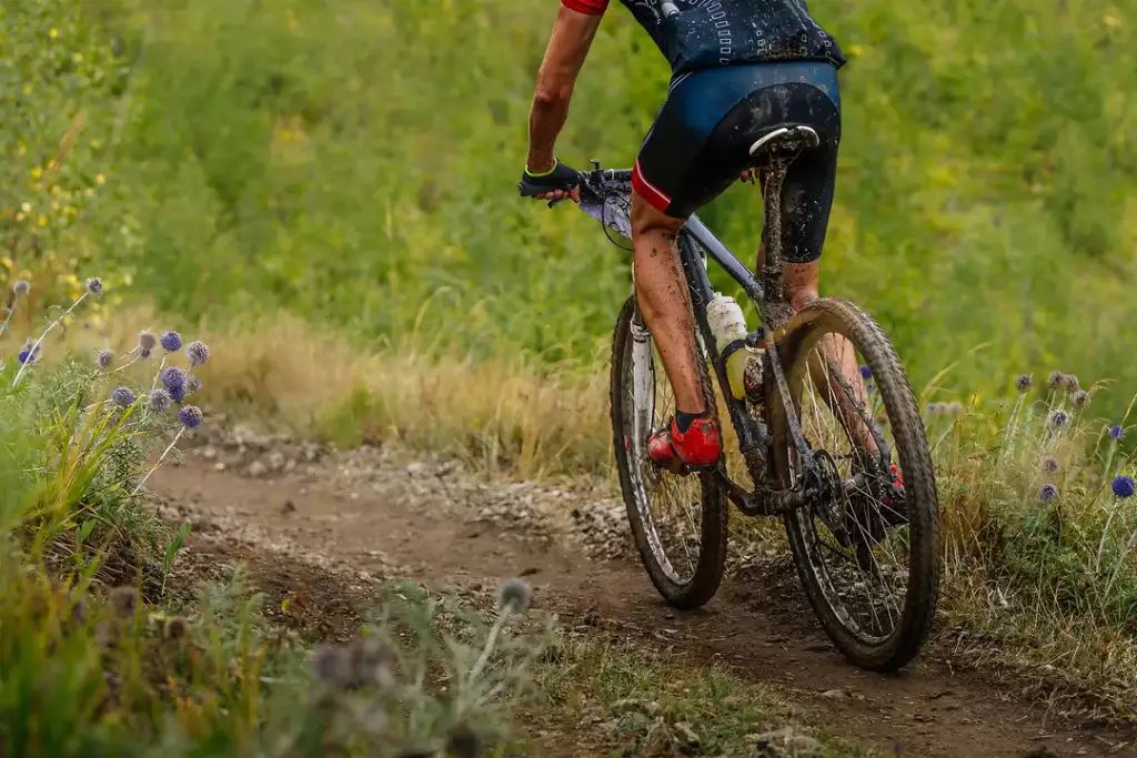 singletrack - co to jest