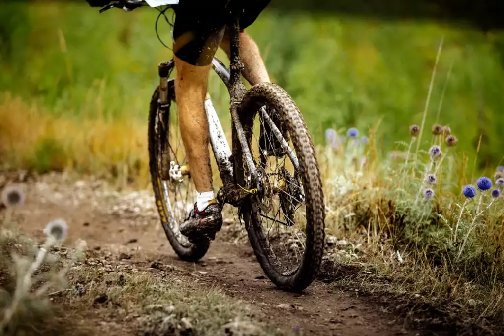 co to jest singletrack