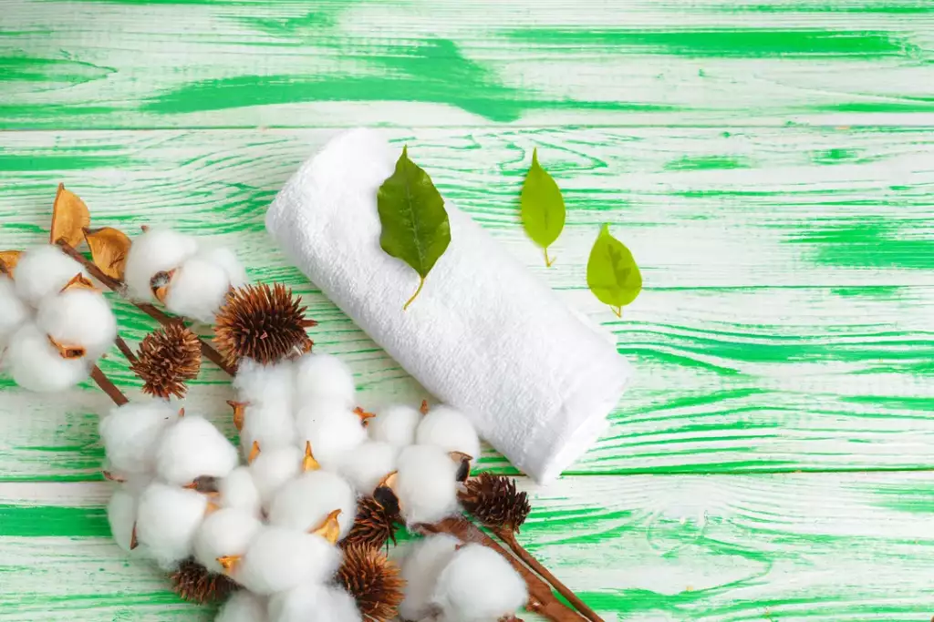 co to jest bawełna organiczna