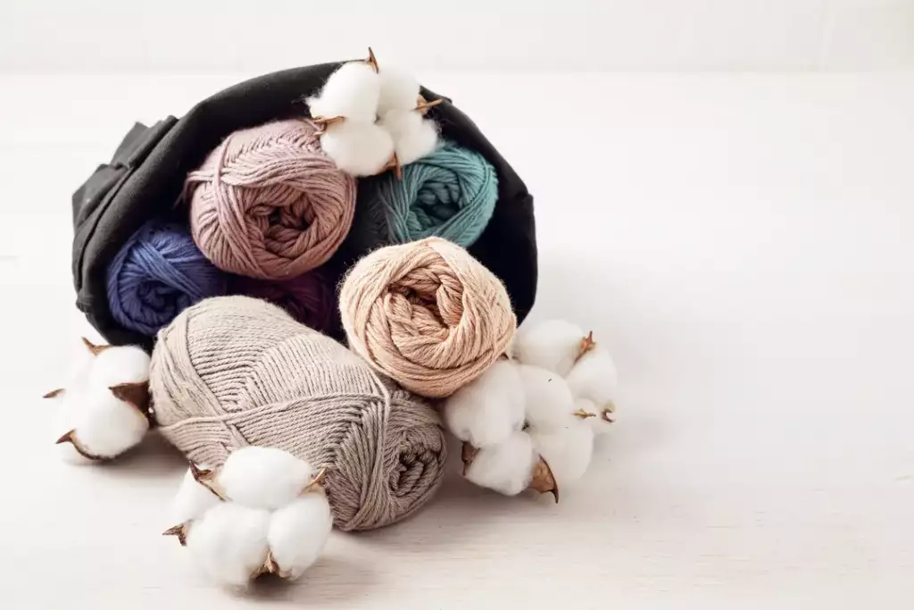 bawełna organiczna - co to jest