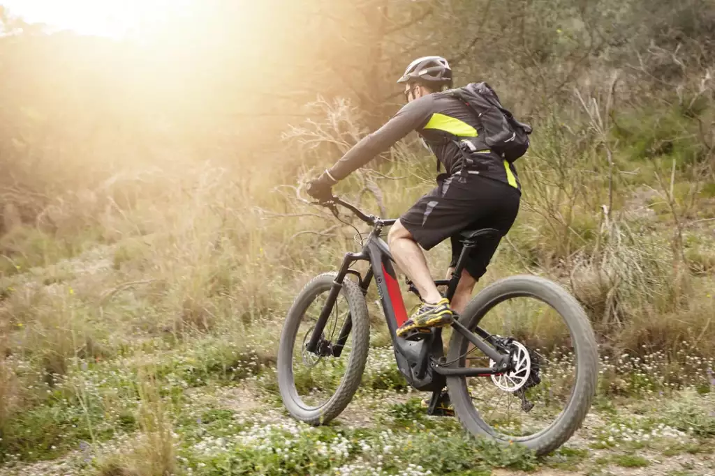 jaki rower elektryczny