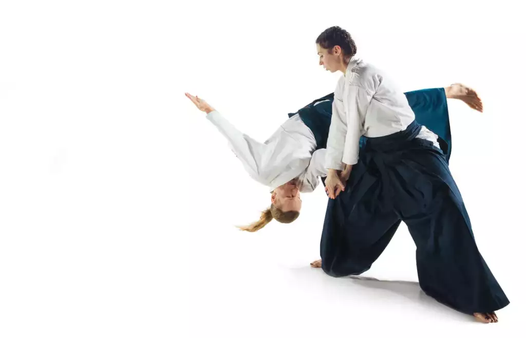 co to jest aikido