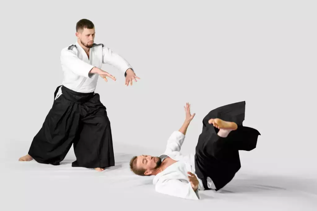 co to jest aikido