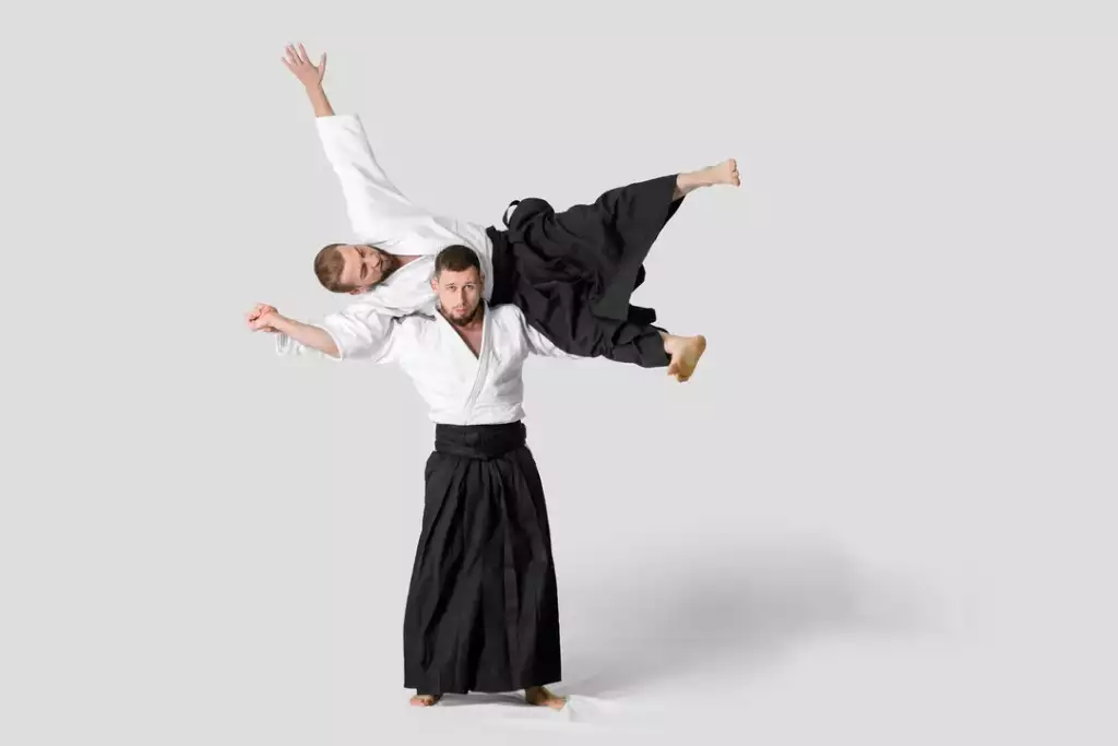 na czym polega aikido