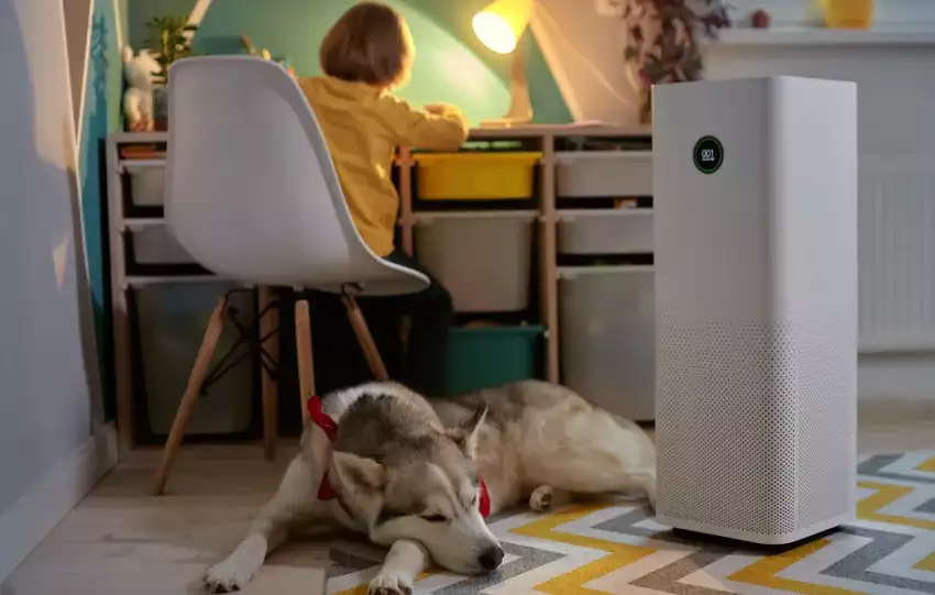 jaki oczyszczacz powietrza wybrać