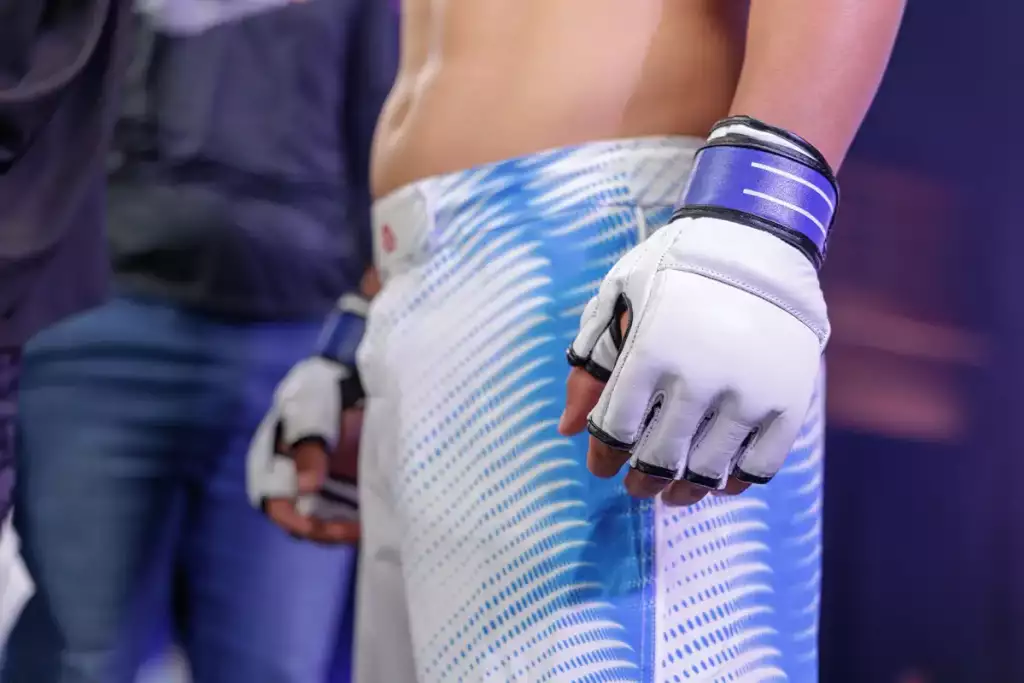 jaki str&oacute;j do mma