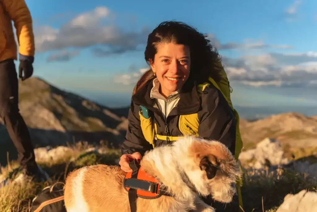 co to jest dogtrekking