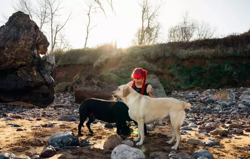 co to jest dogtrekking