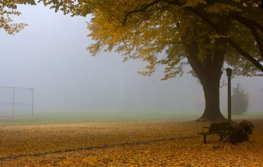 sposoby na jesienną chandrę