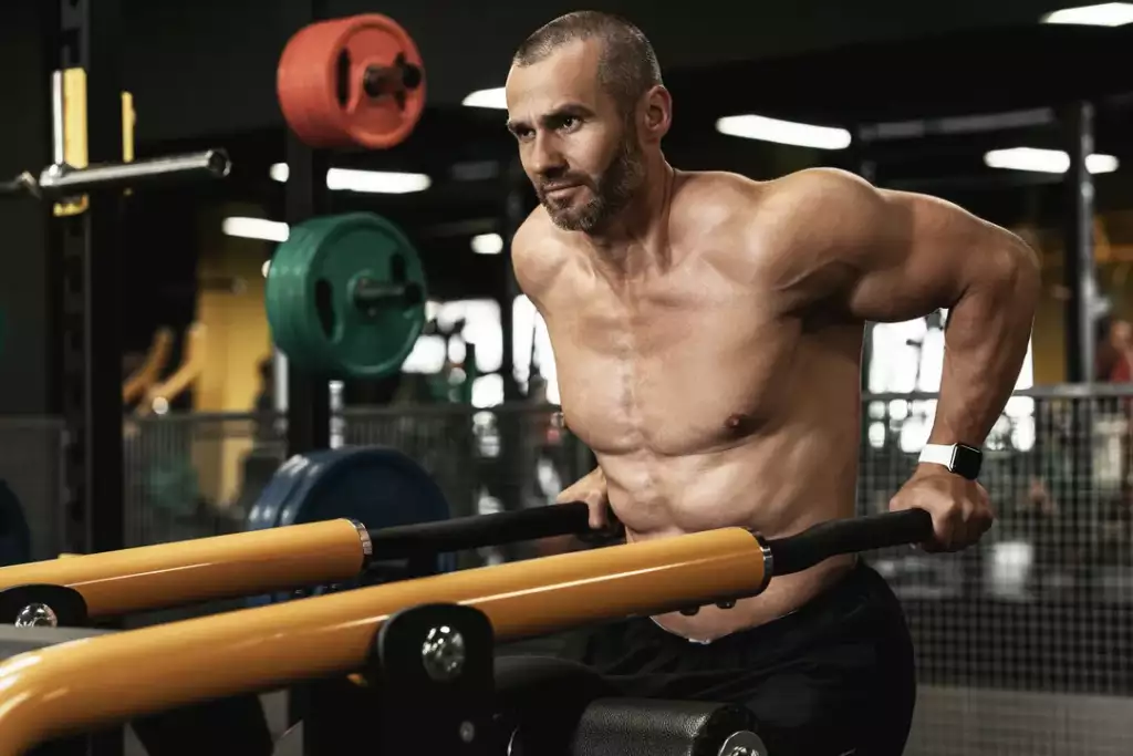 pas do dipów