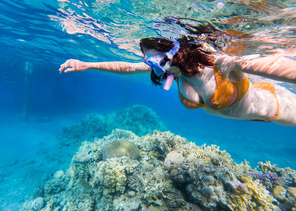 jakie płetwy do snorkelingu