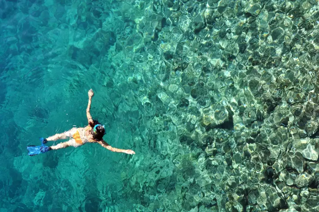 snorkeling - jakie płetwy