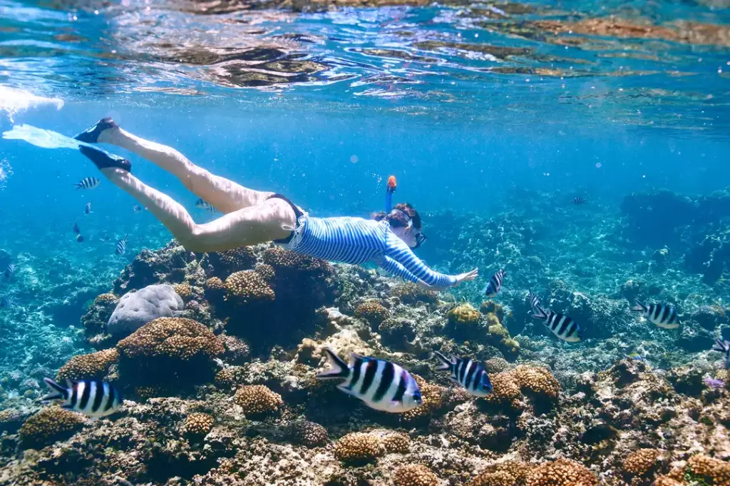 jakie płetwy do snorkelingu