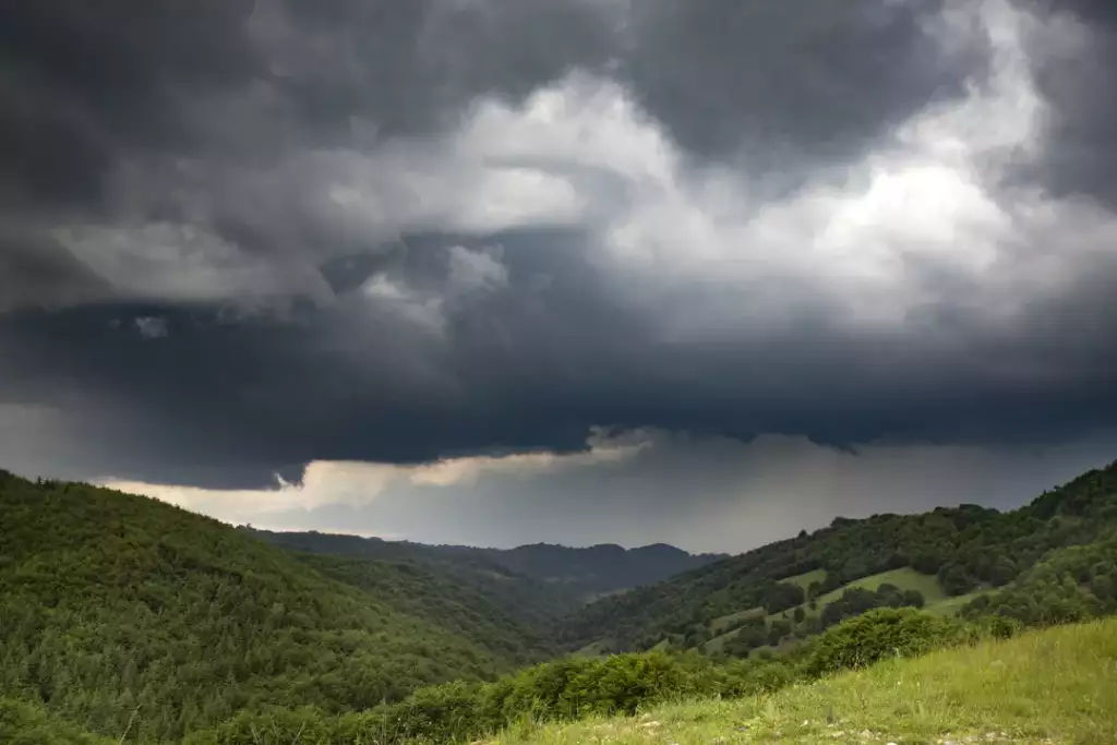 jak się zachować w czasie burzy w lesie