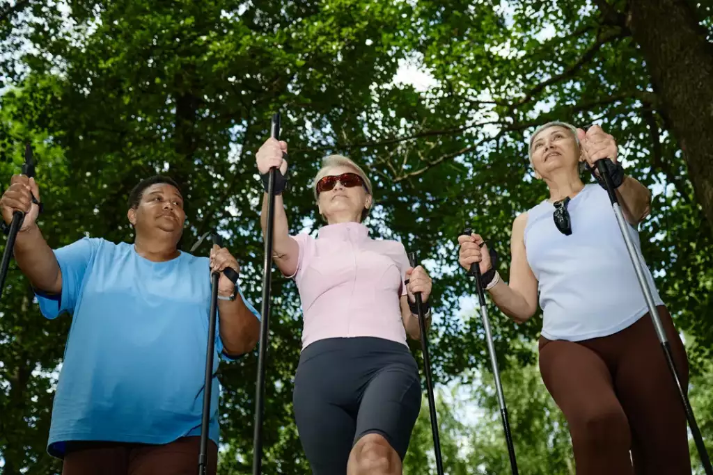nordic walking