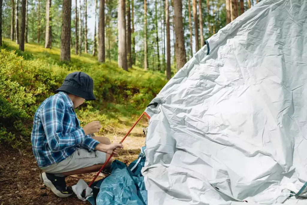 tarp