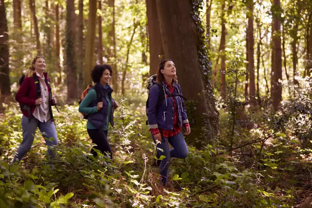 leave no trace