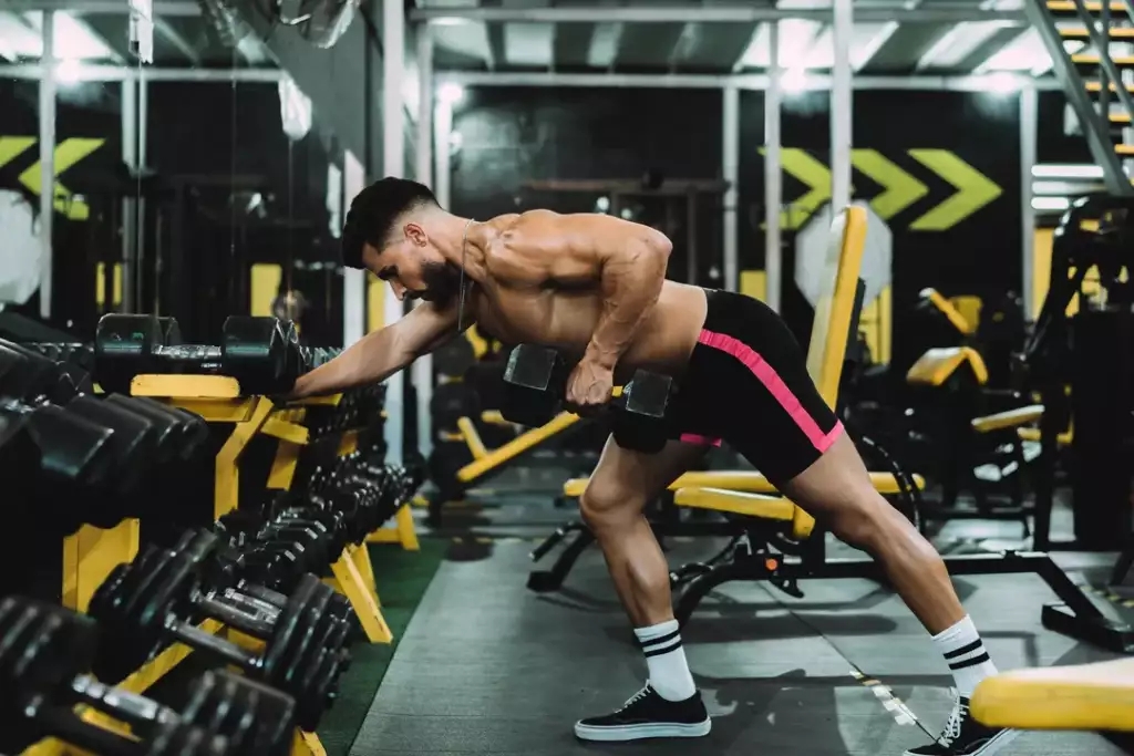 trening split